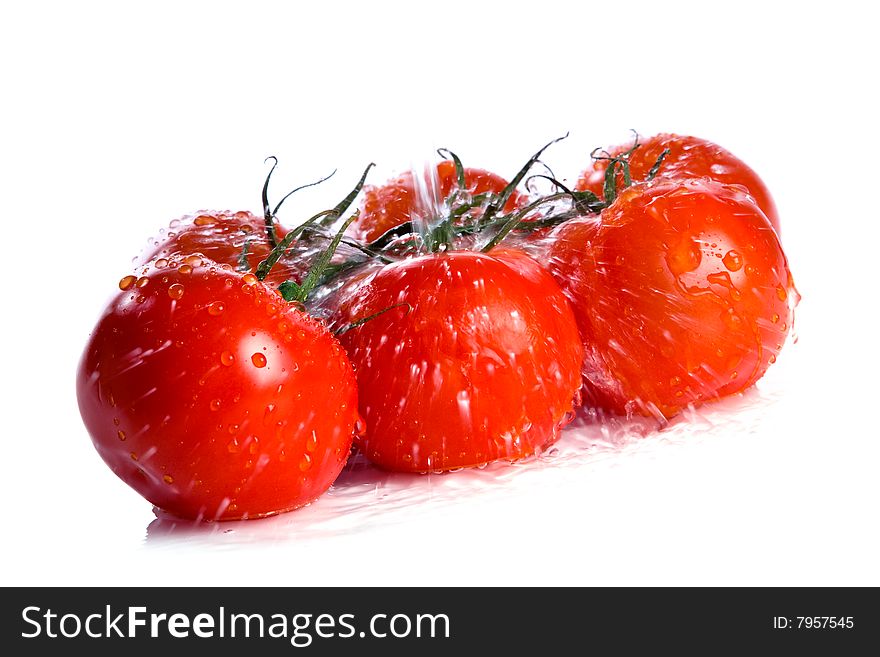 Tomatoes under pouring water isolated over a white background