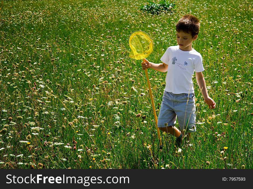 A young butterfly hunter in meadow