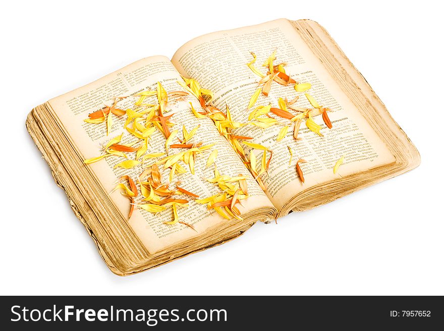 Book with flower petals isolated on white background.