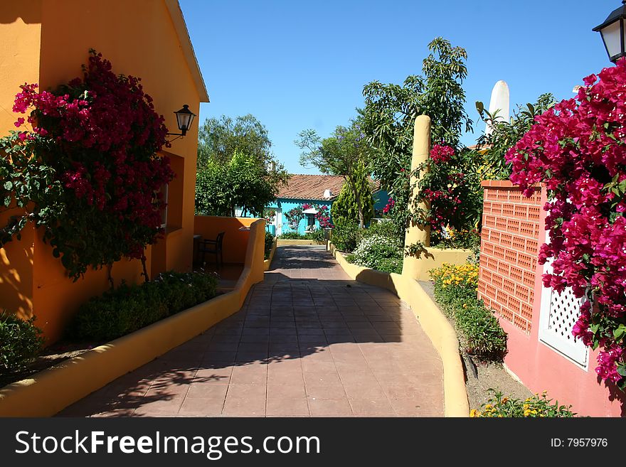 Colorful houses by the sea