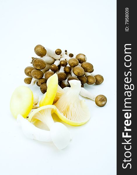A selection of exotic and edible organic mushrooms. A selection of exotic and edible organic mushrooms
