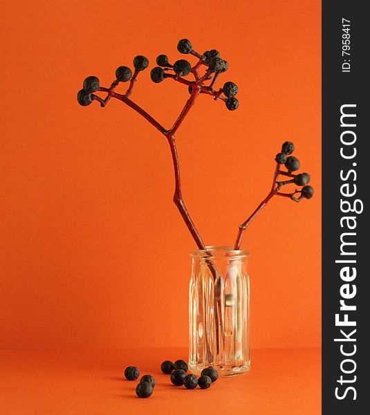 Berries on an orange background in a glass vase