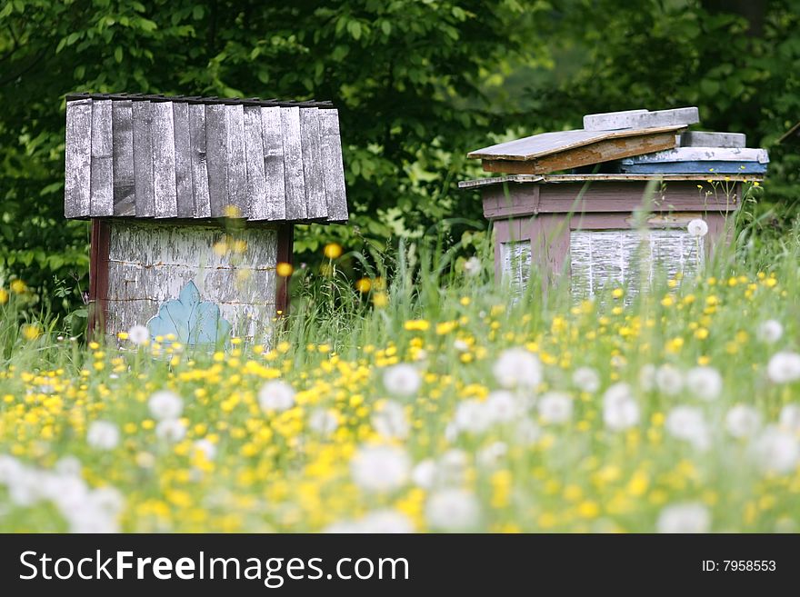 Rural wooden bee hive on meadow with miscellaneous flowers, early spring garden. Rural wooden bee hive on meadow with miscellaneous flowers, early spring garden