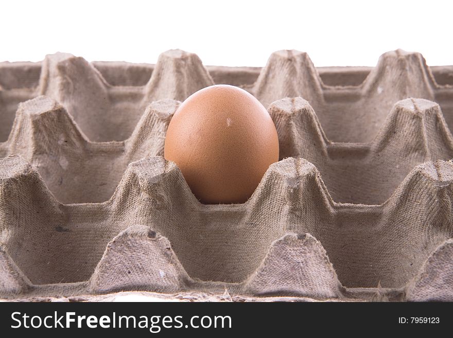 A Egg In Carton