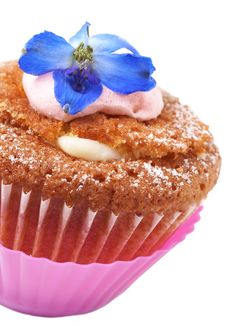 Miniature Cupcake With Meringue Royalty Free Stock Photo