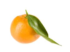 Tangerine With Leaf Stock Image Tangerine With Leaf Stock Image