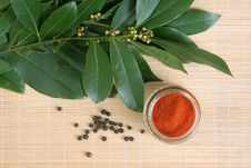 Bay Leafs, Black Pepper And Paprika Stock Images