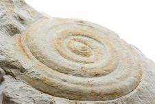 Fossil Stock Photography Fossil Stock Photography