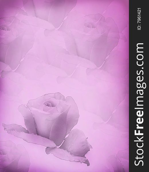 The stylised image of a rose on a pink background. A card with the stylised rose.