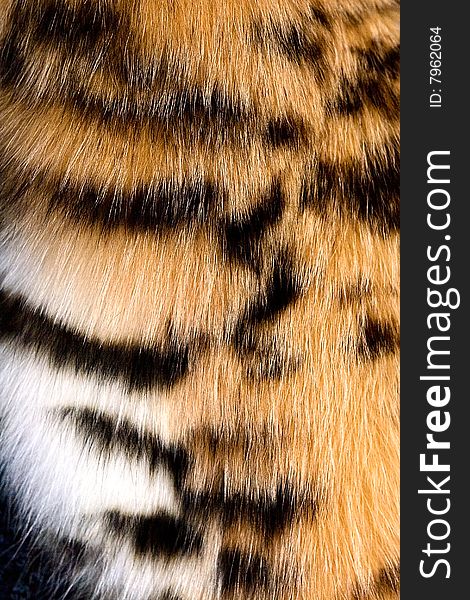 The fragment of leopard fur coat