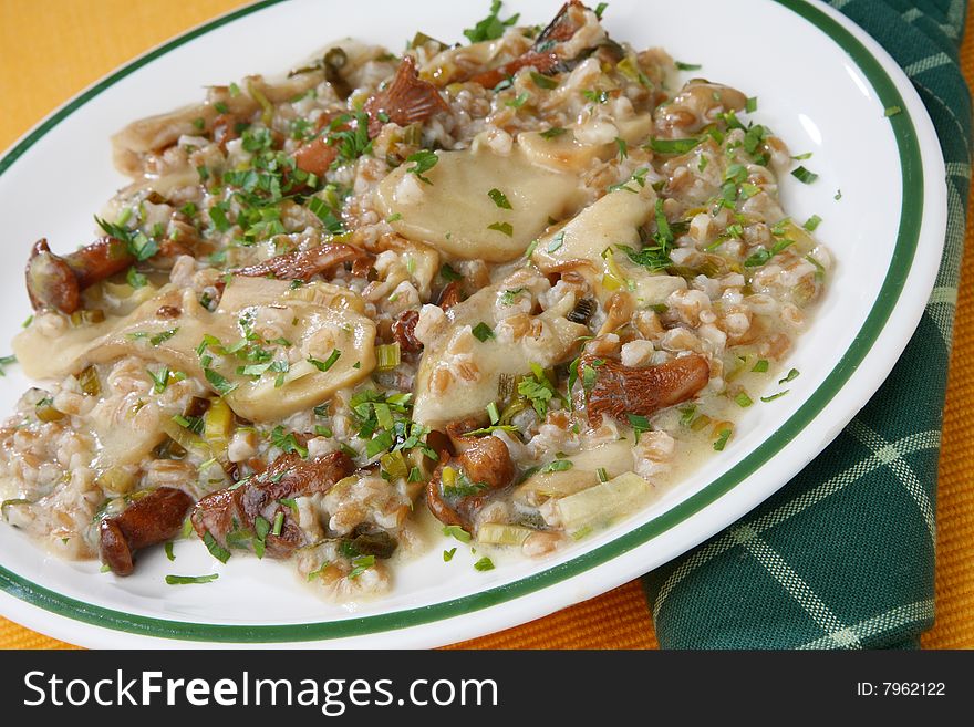 Mushroom, barley and onion stew on plate