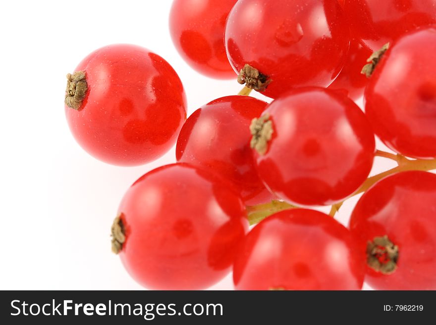 Red gooseberries isolated on white