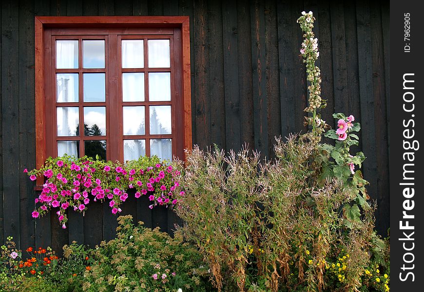 Old house and flowers in south Poland - Beskidy.