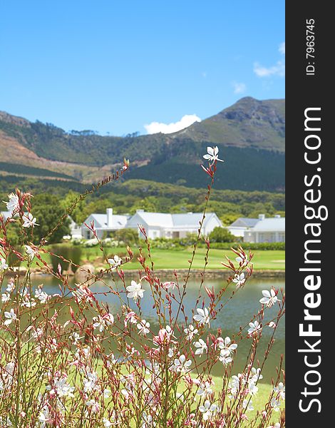 Golf course landscape with few houses in the mountains on a beautiful summer day. Focus is on the flowers in front. Golf course landscape with few houses in the mountains on a beautiful summer day. Focus is on the flowers in front