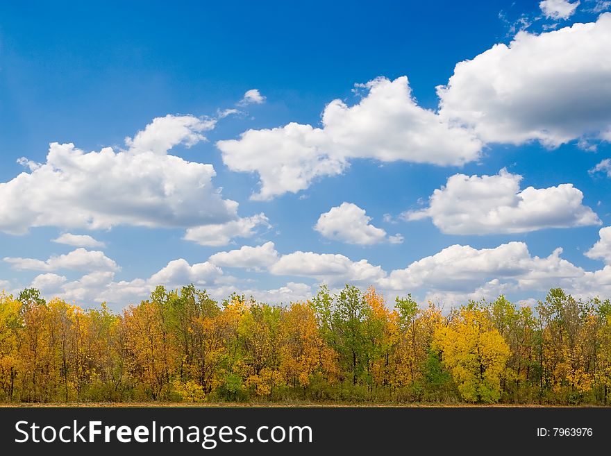 Autumn forest and blue sky