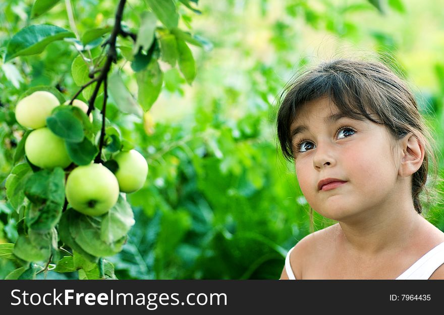 Shot of girl and garden apples. Shot of girl and garden apples