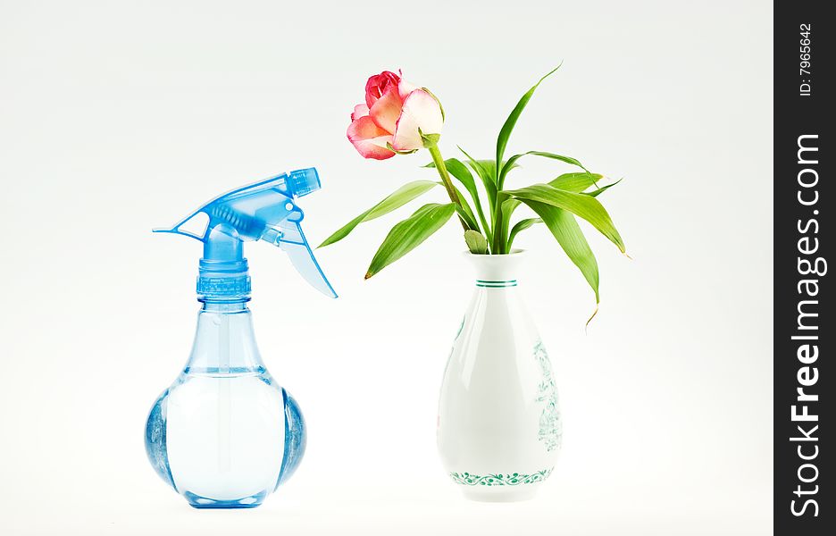 The blue watering-can and flower vase. The blue watering-can and flower vase.