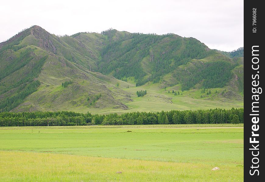 The nature of Altai, mountains