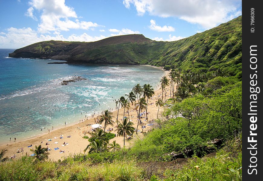 Dream Vacation, Hawaii
