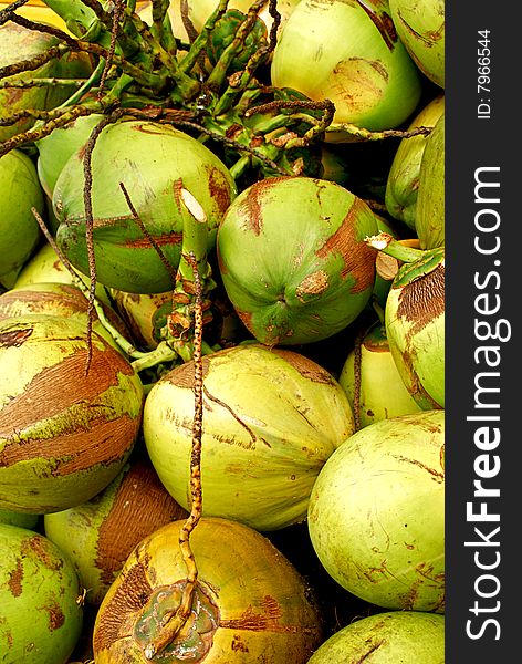 Coconuts Galore
