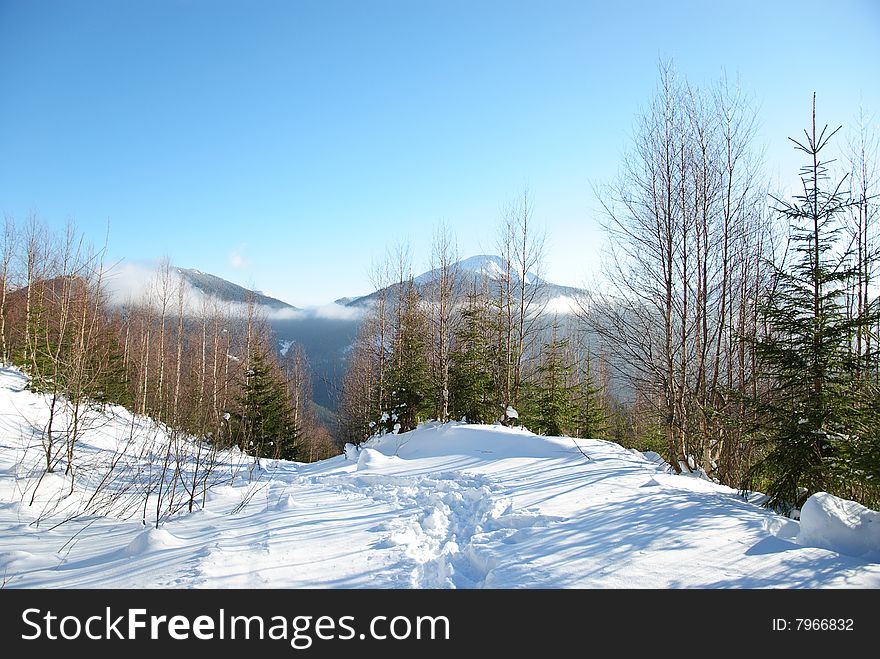 Carpathian Mountains. View from Moloda mountain,  Ukraine. Carpathian Mountains. View from Moloda mountain,  Ukraine