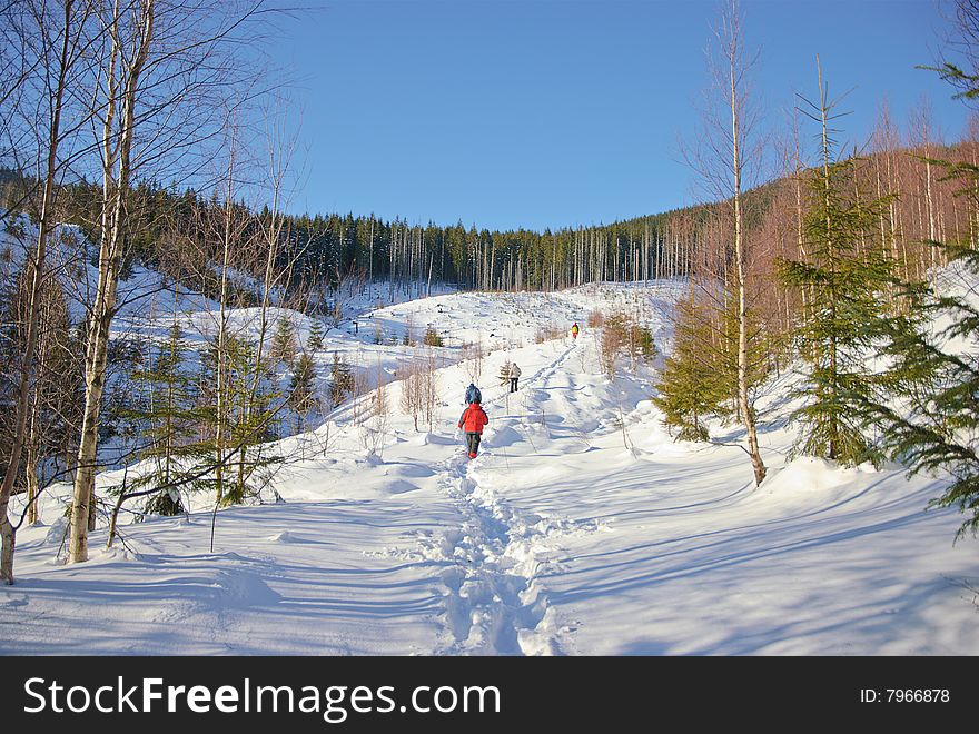 Trekking in Carpathian Mountains. View from Moloda mountain. Trekking in Carpathian Mountains. View from Moloda mountain