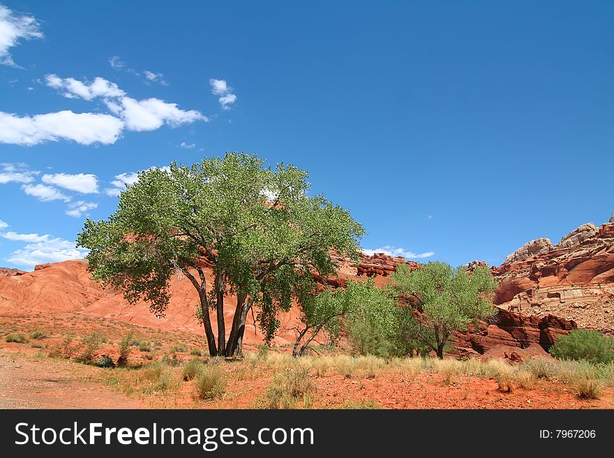 View of the red rock formations in Capitol Reef National Park with blue skyï¿½s and clouds