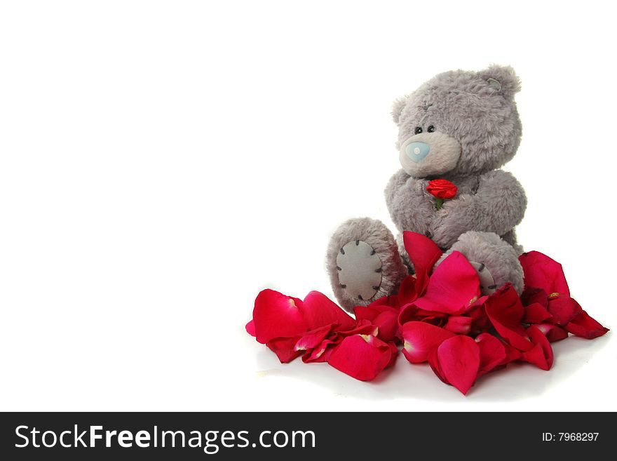Teddy bear with red rose and petals copy space to left. Teddy bear with red rose and petals copy space to left
