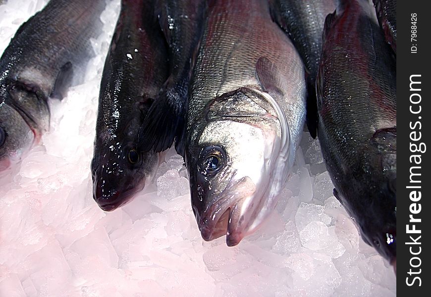 Fresh fish in ice. Fish section of the supermarket.