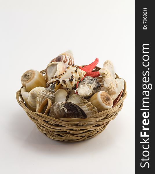 Cockleshells are in a small basket