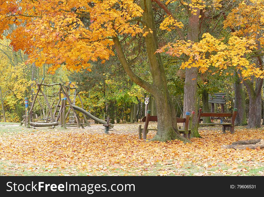 Autumn abandoned childhood playground with maple leafs