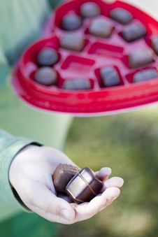 Valentine Chocolate Stock Photos Valentine Chocolate Stock Photos