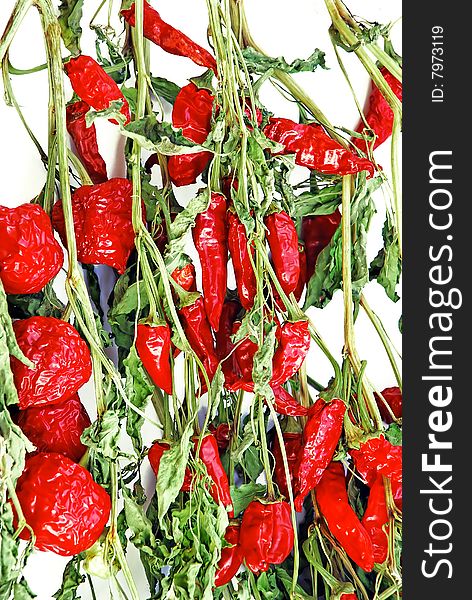 Dry Red Hot Chilly Peppers Backgrounds