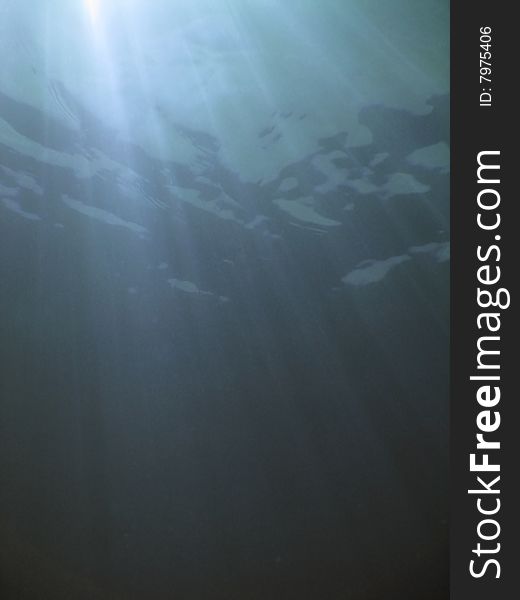 Underwater scene with a view of sun rays and a surface. Underwater scene with a view of sun rays and a surface