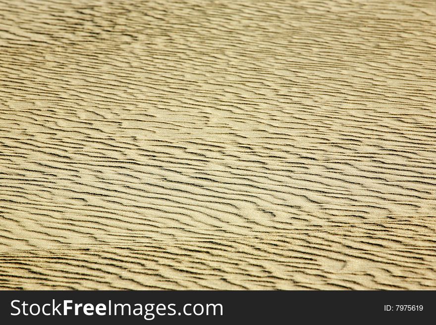 Ripples on sand, a dune at the Baltic coast. Ripples on sand, a dune at the Baltic coast