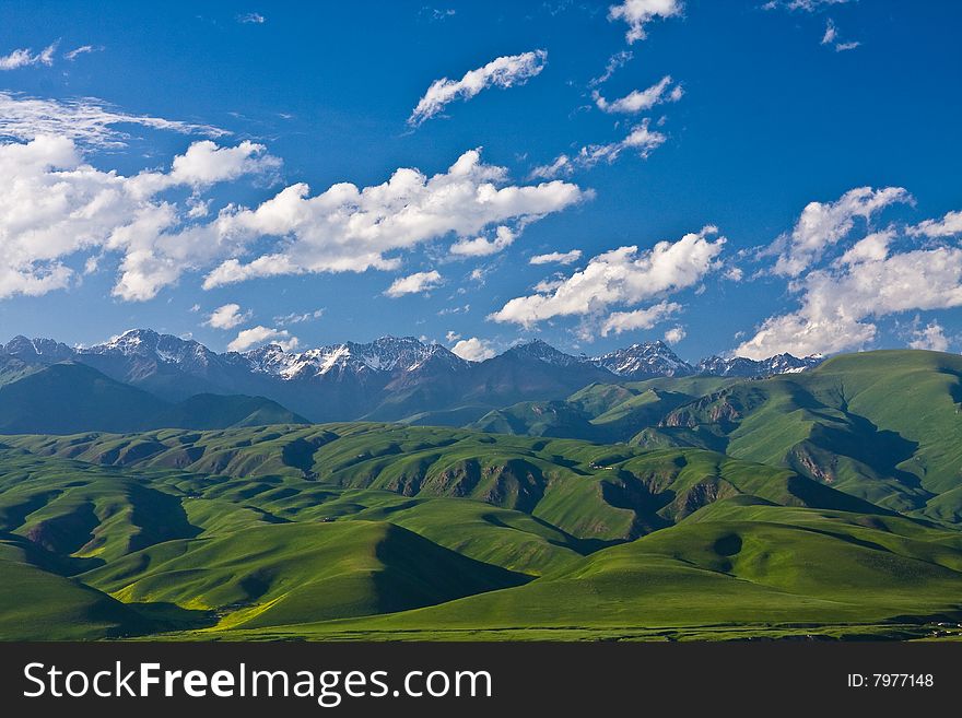 A plateau grassland in Xinjiang - a northwest province in China. A plateau grassland in Xinjiang - a northwest province in China