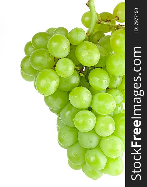 Green grapes closeup on white background