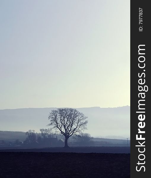 Misty early morning winter landscape. Misty early morning winter landscape