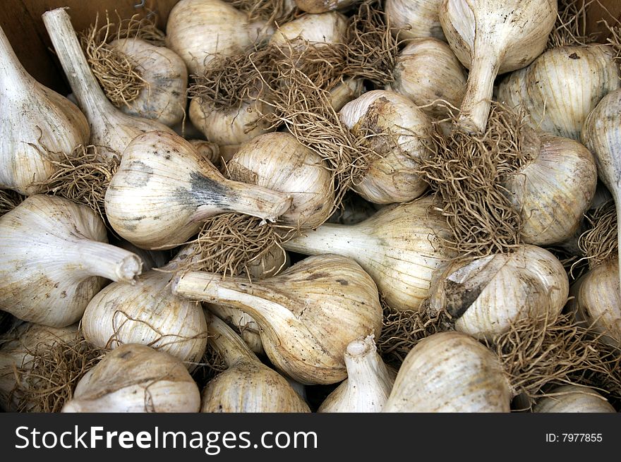 Garlic at a farm stand