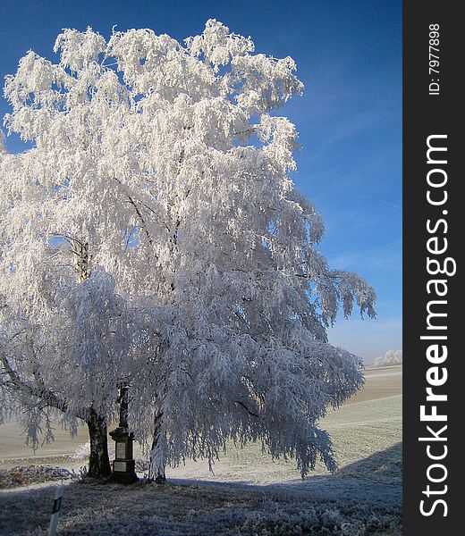 Tree white with frost in sunny hills with crucifix below it. Tree white with frost in sunny hills with crucifix below it