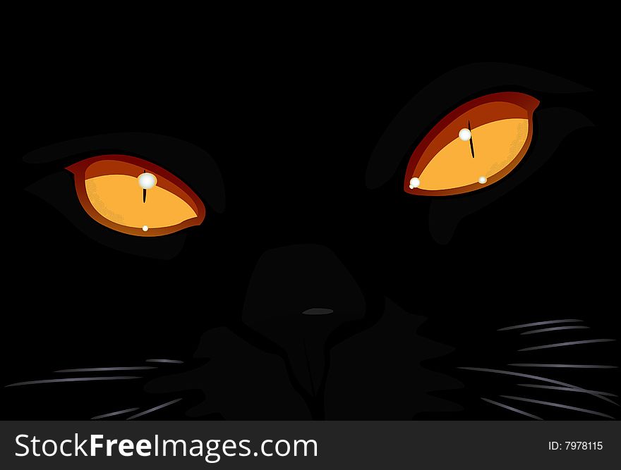Muzzle of a black cat. Vector. Without mesh.