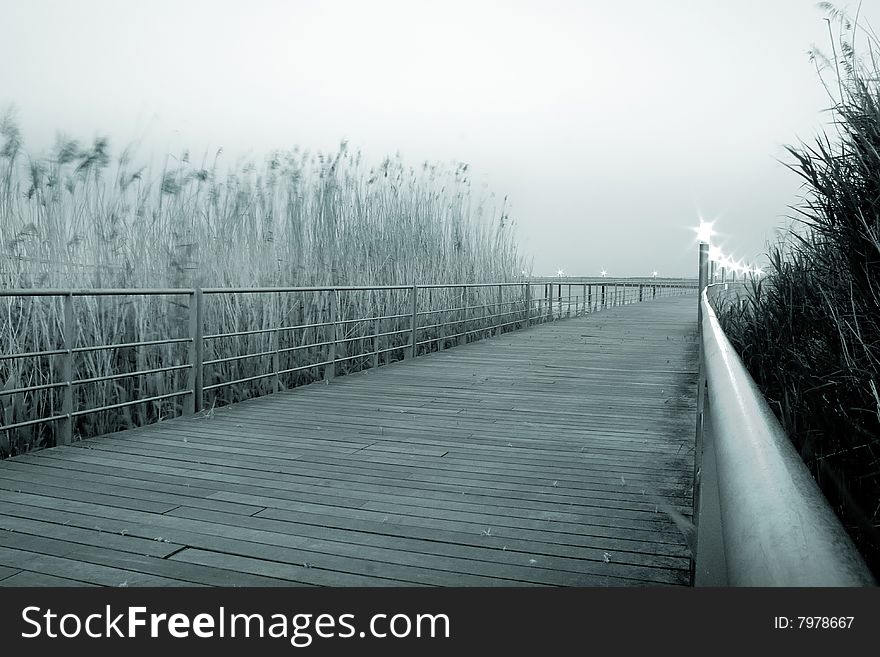 Board walk through a riverbank near Lisbon, Portugal. Board walk through a riverbank near Lisbon, Portugal