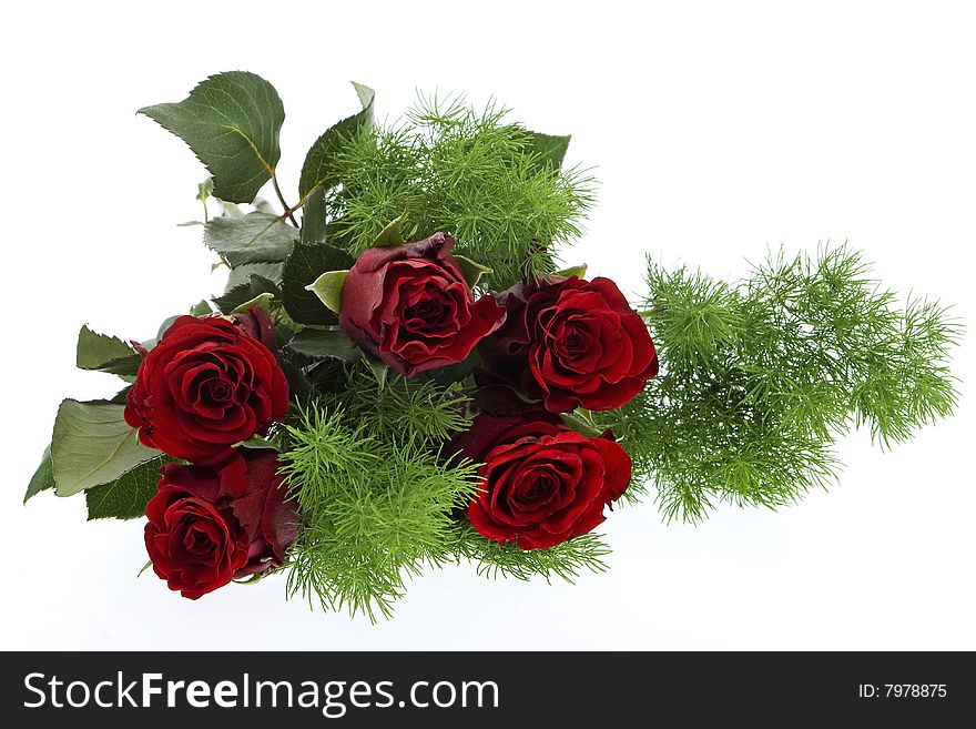 Red roses against white background, flowers for the valentine day, mother day, wedding day or birthday