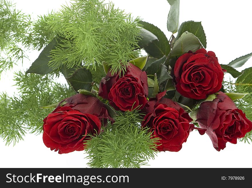 Red roses against white background, flowers for the valentine day, mother day, wedding day or birthday