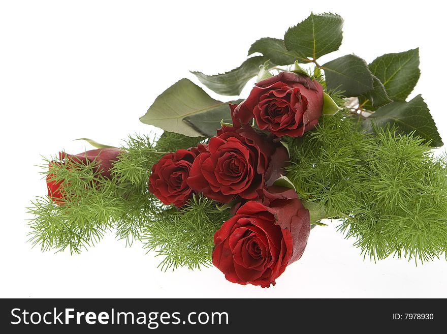 Red roses against white background, flowers for the valentine day, mother day, wedding day or birthday