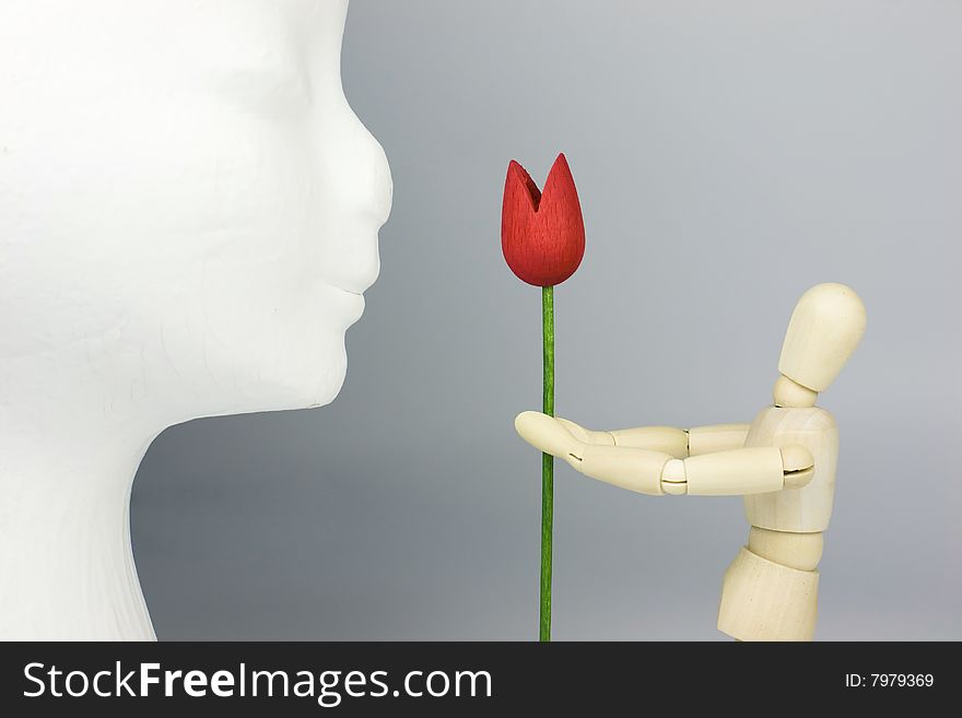 A wooden mannequin presenting a flower - red tulip to a girlfriend goddess - white fashion dummy head - Valentine theme. A wooden mannequin presenting a flower - red tulip to a girlfriend goddess - white fashion dummy head - Valentine theme.