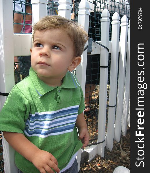 A toddler sitting beside a white picket fence in the suburbs.