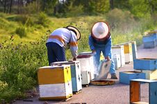 Beekeepers Stock Photo Beekeepers Stock Photo