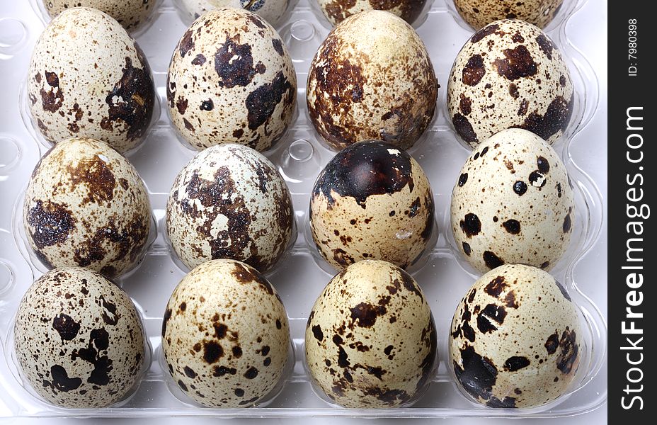 Quail eggs in the pack