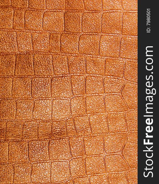 Abstract background from a natural skin. Abstract background from a natural skin